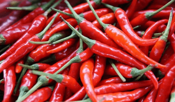 wellhealthorganic.com:red-chilli-you-should-know-about-red-chilli-uses-benefits-side-effects