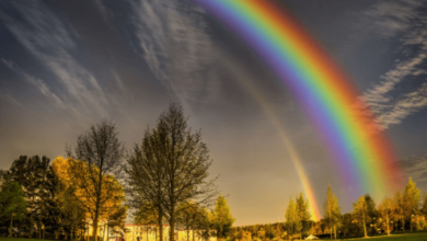 Clipart:1sc_Yfzauim= Rainbow