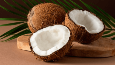Clipart:5ovmbr2xaha= Coconut