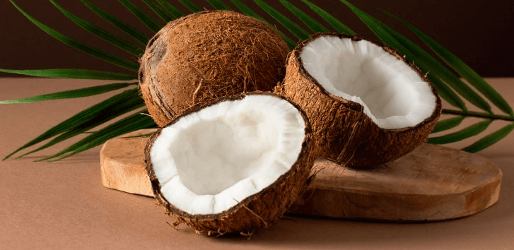 Clipart:5ovmbr2xaha= Coconut