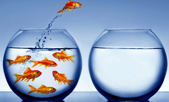 Clipart:55kmvapz9e4= Fishbowl