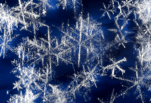 Transparent:_Qc__Cg0uea= Snowflakes