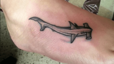 Outline:-Olmazrrfh4= Hammerhead Shark Tattoo