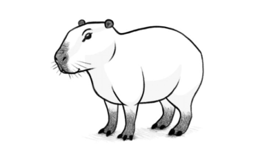 Simple:79qigb-Pz8o= Capybara Drawing