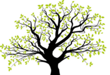 Clipart:Cjf0bfgwlpk= Tree