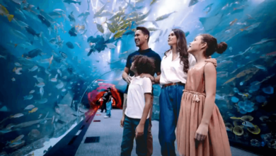 How to Plan an Unforgettable Family Day at the Aquarium