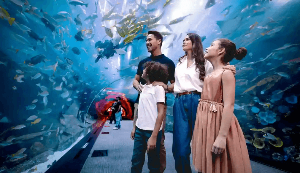 How to Plan an Unforgettable Family Day at the Aquarium
