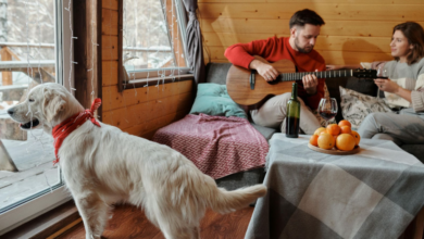 Best Dog-Friendly Holiday Cottages in Derbyshire for a Perfect Pet-Friendly Escape