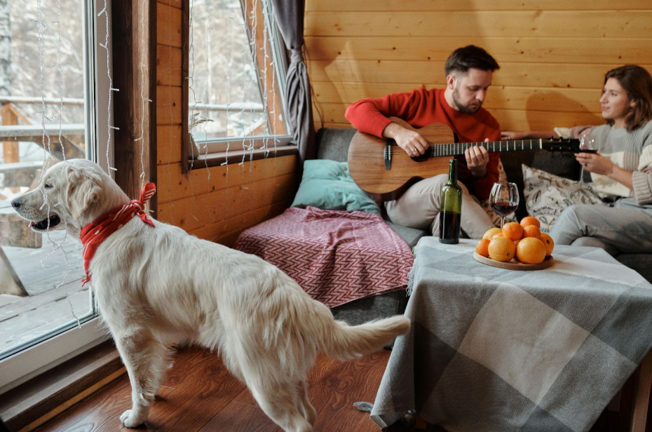 Best Dog-Friendly Holiday Cottages in Derbyshire for a Perfect Pet-Friendly Escape