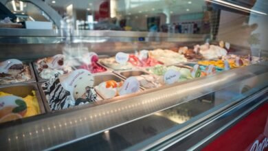 customer query case details