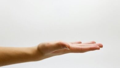 support request case number