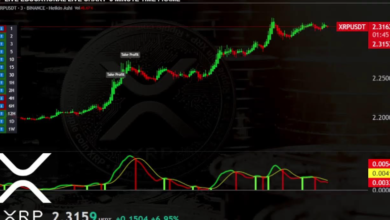 Maximizing Your XRP to USDT Conversion: Tips for Optimal Timing