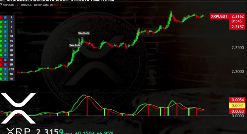 Maximizing Your XRP to USDT Conversion: Tips for Optimal Timing