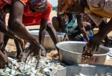 enterprise activity register numbers