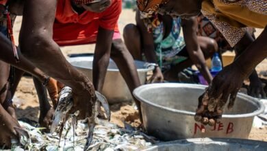 enterprise activity register numbers