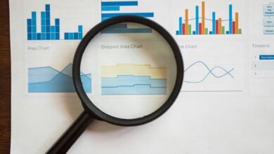 insight review document summary