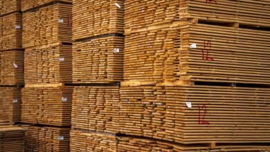 resource allocation for projects