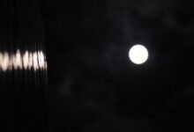 risk exposure assessment report