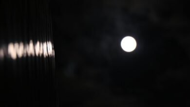 risk exposure assessment report