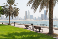 Discover One of the Most Beautiful Greenery Places in Dubai at Al Ittihad Park