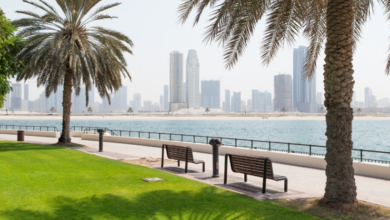 Discover One of the Most Beautiful Greenery Places in Dubai at Al Ittihad Park
