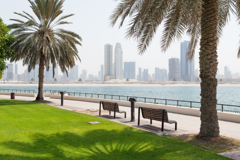 Discover One of the Most Beautiful Greenery Places in Dubai at Al Ittihad Park