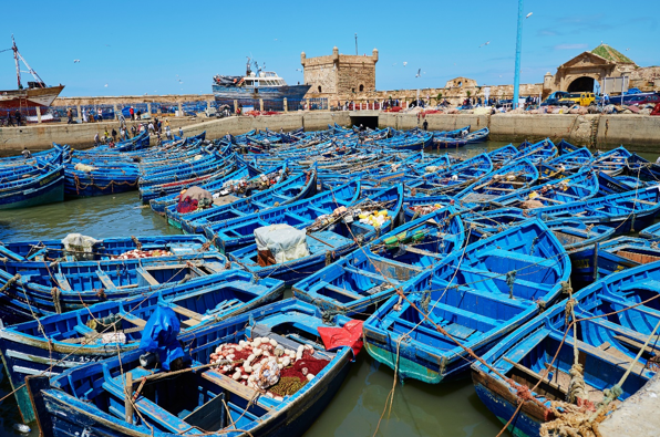 Morocco Tour Packages: Travel Made Effortless