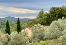 An Encounter with Pastis