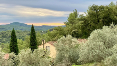 An Encounter with Pastis