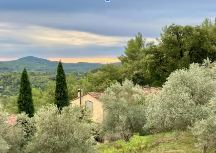 An Encounter with Pastis