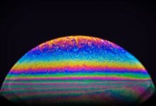 cosmic prism animal movie