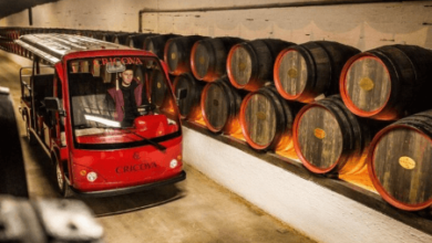 The Perfect Weekend: Uncorking Moldova’s Underground Wine Empire from Chișinău