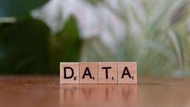 explore specific registry numbers