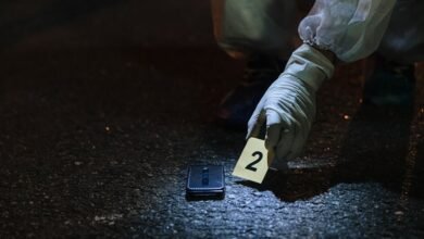 number registry evidence for listed ids