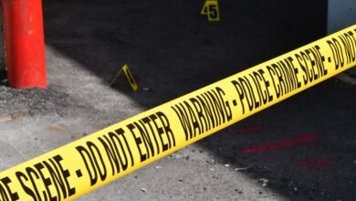 registry entries reveal multi entity investigations