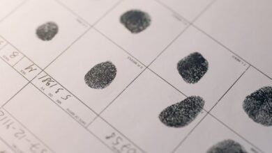 search verified registry evidence ids
