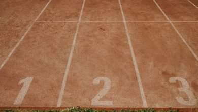 track numbers registry findings for listed ids