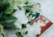 verified registry findings ids listed