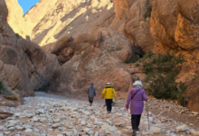 How to Choose the Right Morocco Tour for Your Travel Style