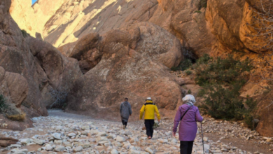 How to Choose the Right Morocco Tour for Your Travel Style